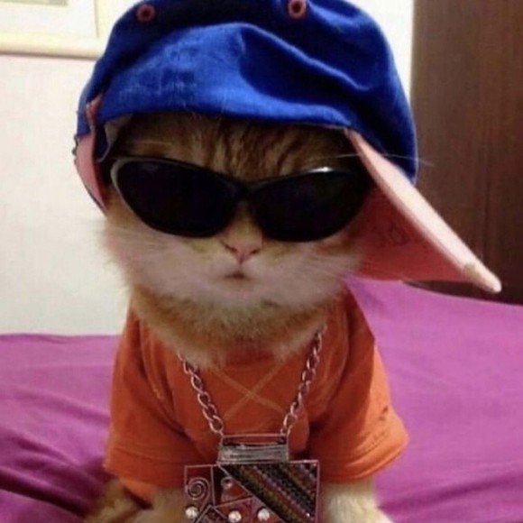 Profile Picture of Jennie Sweezey (@jennsweezey) on Poshmark