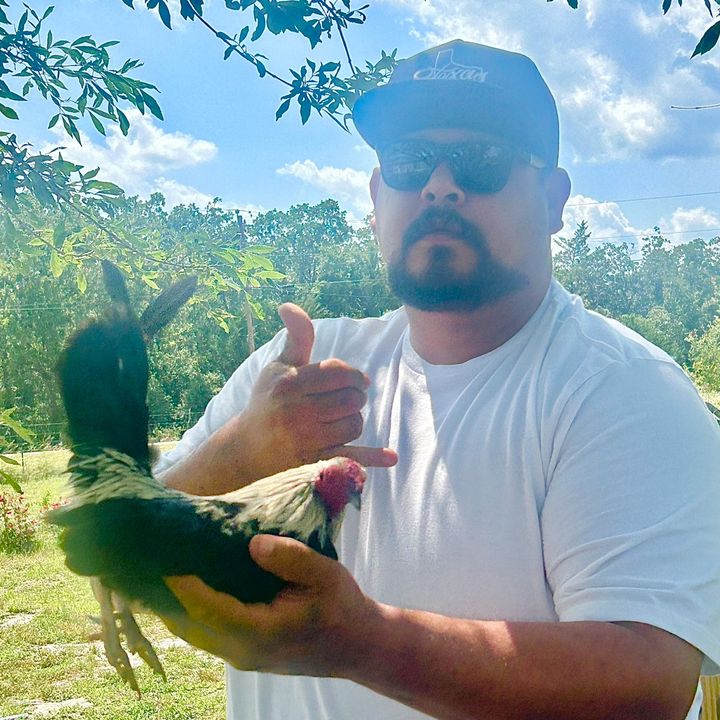 Profile Picture of Joe81 (@joeanzualda) on Tiktok