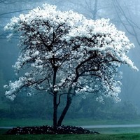 Profile Picture of Capri Smith (@capri-smith-1) on Quora