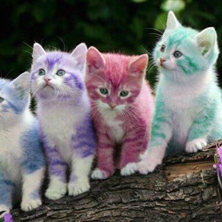 Profile Picture of Leonard Ragas (@leonard.ragas.9) on Facebook