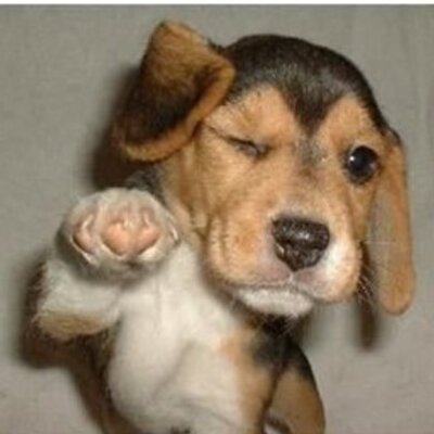 Profile Picture of John Pavone (@johnpavone1) on Twitter