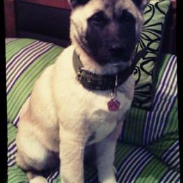 Marjorie Salas - Twitter Profile Picture of Marjorie Salas (@571241bee1d44ec) on Twitter