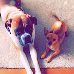 Profile Picture of Laura Ashland (@ashland_00) on Instagram