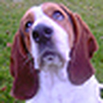 Profile Picture of Angela Smith (@T E L L U) on Flickr