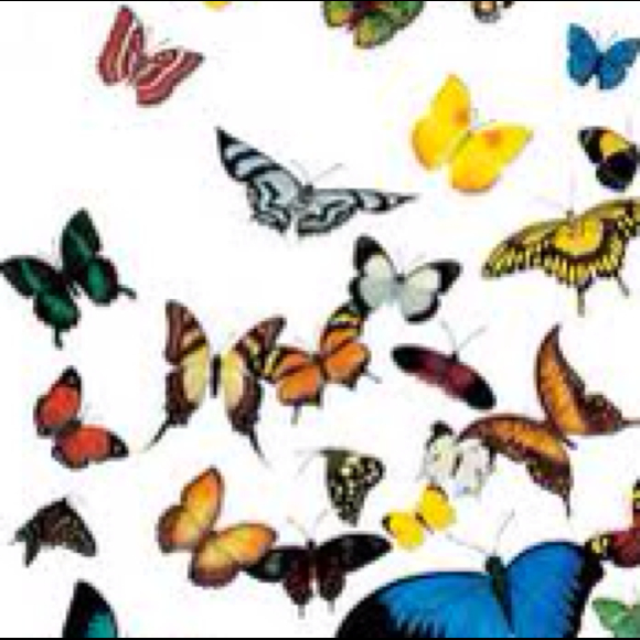 Profile Picture of Emily Brockhouse (@esmiffli) on Poshmark