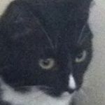 Profile Picture of Gwen Robert Bartoli (@gwenbartoli) on Instagram