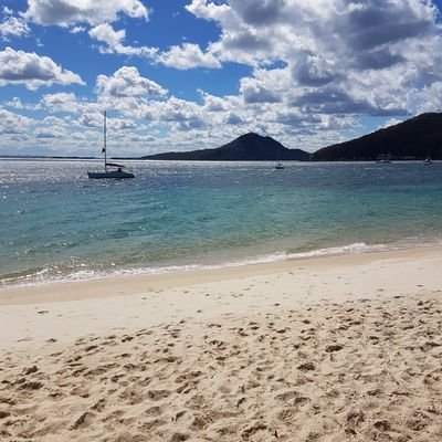 Profile Picture of Richard Rodger (@rodger_richard) on Twitter