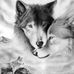 Profile Picture of Glenn Claypoole (@glenn.claypoole.1) on Facebook