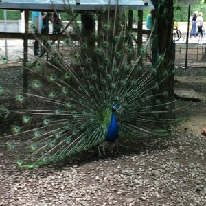 Profile Picture of Dan George Valois (@dan_valois) on Twitter