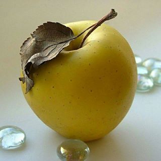 Profile Picture of Joseph Barani (@Joseph-Barani) on Facebook