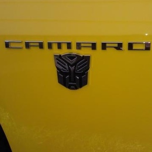 Profile Picture of Joyce Hoerster (@138597864) on Myspace