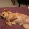 Profile Picture of Allan Morley (@@allanmorley) on Tiktok