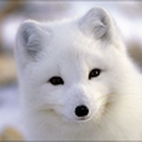 Profile Picture of Ivory Moore (@ivory-moore-10) on Quora