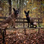 Profile Picture of Timo Schenk (@timo.schenk.94) on Facebook