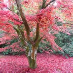 Profile Picture of Michael Dillingham (@michael.dillingham.12979) on Facebook