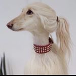 Profile Picture of Mitch McCabe (@mitchelljonimitchell) on Instagram