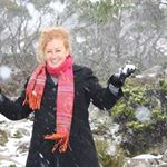 Profile Picture of Julie Williams (@julie.williams.1675275) on Instagram