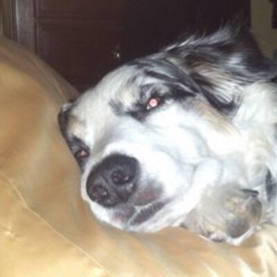 Profile Picture of Mark Broderick (@MarkMbroder) on Twitter