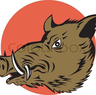 Profile Picture of Klaus Neupert (@klaus.neupert.37) on Facebook