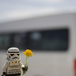 Profile Picture of Carlos Ortíz Ozeta (@cannis photo) on Flickr