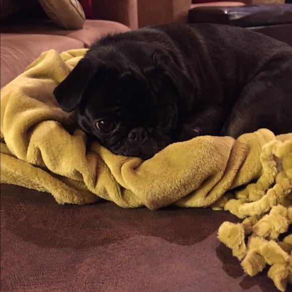 Heidi Carmony - Poshmark Profile Picture of Heidi Carmony (@hcocgal) on Poshmark