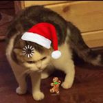 Profile Picture of hugofrank (@frankhugo23) on Instagram