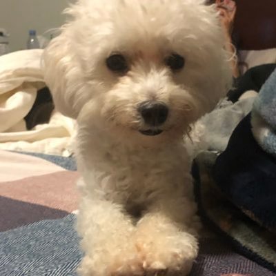 Profile Picture of Jessie Gao (@Gao_tian_yi) on Twitter