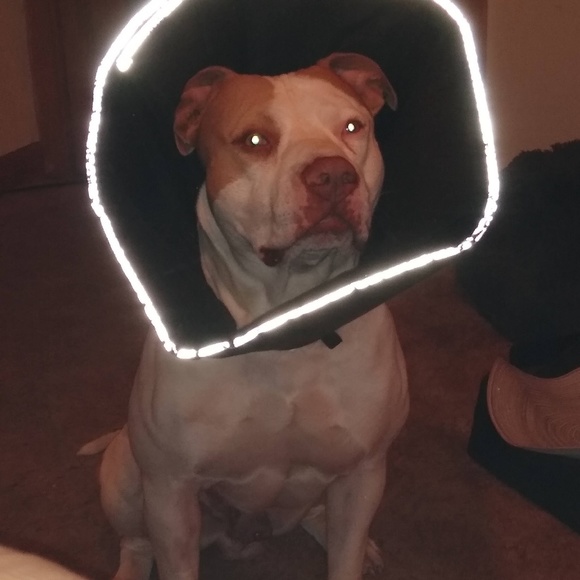 Profile Picture of Gerald Roehling (@geraldroehling) on Poshmark