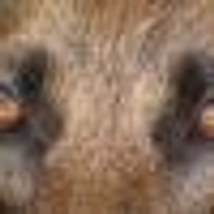 Jonathan Bivins - Myspace Profile Picture of Jonathan Bivins (@196885369) on Myspace