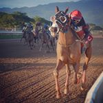 Profile Picture of Christopher Mamdeen (@hot_jockey) on Instagram