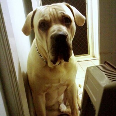 Profile Picture of Craig Doughty (@cwdoughty) on Twitter