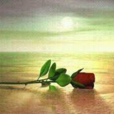 Profile Picture of Barbaraword (@theword55) on Twitter