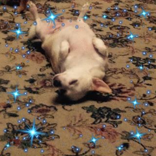 Profile Picture of Baz Chadwick (Homer) (@barry.chadwick) on Facebook