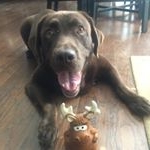 Profile Picture of David Arvanites (@golfarvo) on Instagram