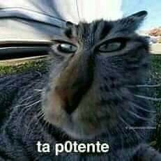 Profile Picture of Bryan J (@Macbeth_Bj) on Twitter