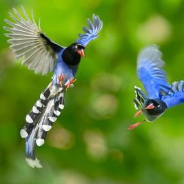 Profile Picture of Christian Mier Y Ter (@mieryteranchris) on Twitter