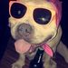 Profile Picture of David Ontiveros (@dontis98) on Pinterest