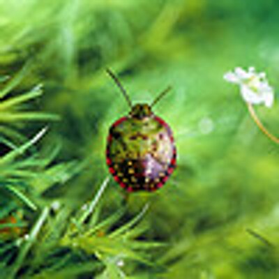 Profile Picture of RobertKillough (@killough_robert) on Twitter