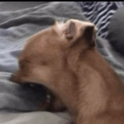 Profile Picture of t (@trin.christine4) on Tiktok