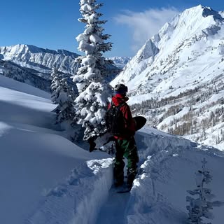 Profile Picture of David Rupp (@drupp) on Instagram