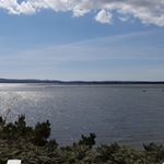 Profile Picture of Lisa Busby (@busby.lisa.p) on Instagram