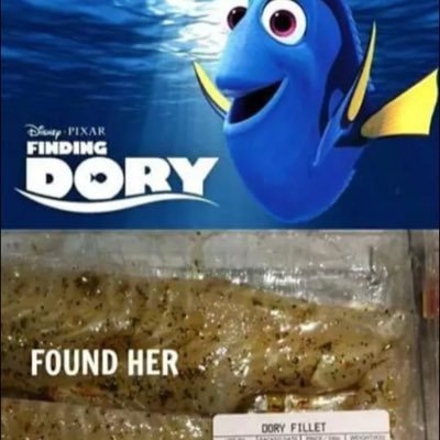 Profile Picture of Jake Federico (@federico_jake) on Twitter