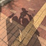 Profile Picture of Sam Deng (@binggwan_dang) on Instagram