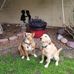 Profile Picture of Lisa Null (@lisa.null.5220) on Facebook