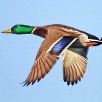 Profile Picture of Kody Gordon (@kody-gordon-1) on Quora