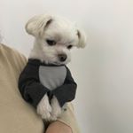 Profile Picture of 킴이 (@keemyi) on Instagram