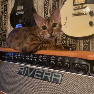 Profile Picture of Paul Rivera Jr (@paulriverajr) on Instagram