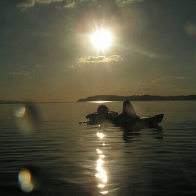 Profile Picture of Ms. Compton (@v_dani_v) on Twitter