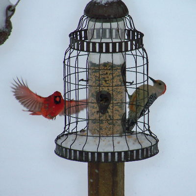 Profile Picture of James Bussard (@PastorBussard) on Twitter