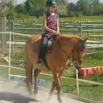 Profile Picture of Julia Öhrlein (@julia_is_loving_horses) on Instagram